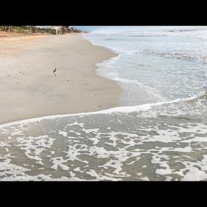 Meet your Posher, Carrie